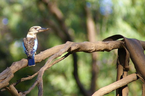 Ord River Experience With Riverside Lunch - Holiday Jervis Bay 1
