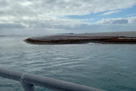 Abrolhos Islands Fishing Charter - Holiday Jervis Bay 6