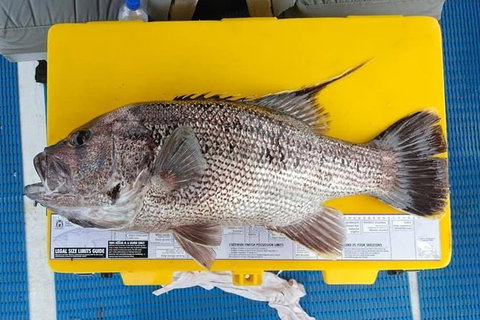 Abrolhos Islands Fishing Charter - Holiday Jervis Bay 2