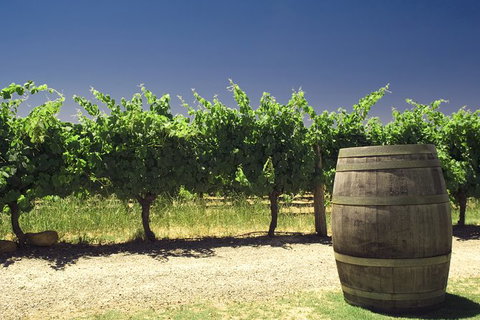 Pinnacles Desert Private Tour - Holiday Jervis Bay 4