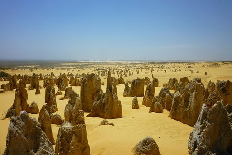 Pinnacles Desert Private Tour - Holiday Jervis Bay 5