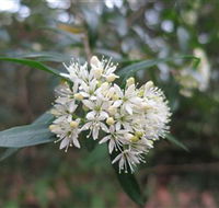 Booderee National Park - Holiday Jervis Bay