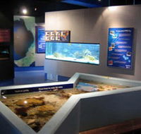 Marine and Freshwater Discovery Centre - Holiday Jervis Bay