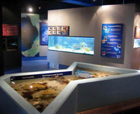 Marine And Freshwater Discovery Centre - Holiday Jervis Bay 0