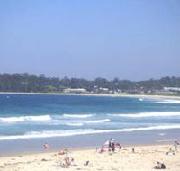 Mollymook Surf Beach - Holiday Jervis Bay