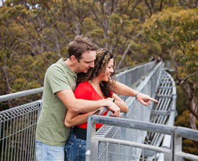 Valley Of The Giants Tree Top Walk - Holiday Jervis Bay 0