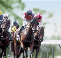 Colac Turf Club - Holiday Jervis Bay