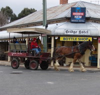 Bathurst Farm Experience - Holiday Jervis Bay