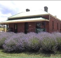 Lavender House in Railway Park - Holiday Jervis Bay