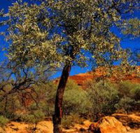 Mt Romance Australia Pty Ltd - Holiday Jervis Bay