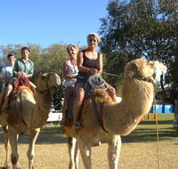Calamunnda Camel Farm - Holiday Jervis Bay
