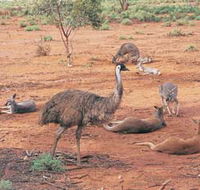 Hammond Park - Holiday Jervis Bay
