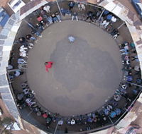 Two-Up School - Holiday Jervis Bay