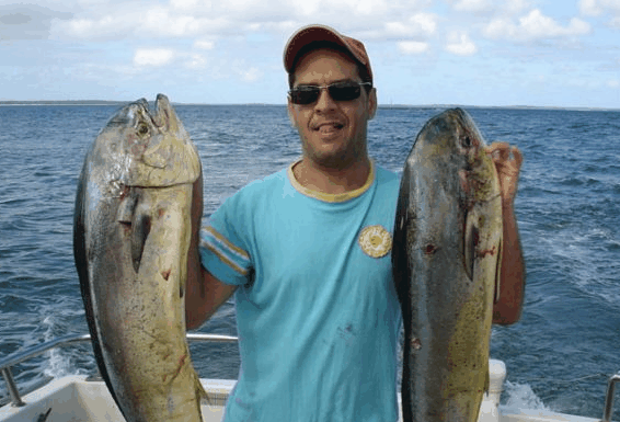 Jervis Bay Fishing and Charters - Holiday Jervis Bay