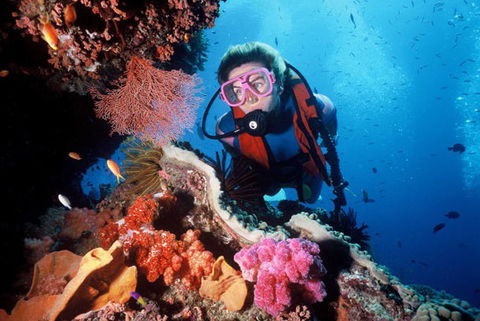 Calypso Reef Charters - Holiday Jervis Bay 2