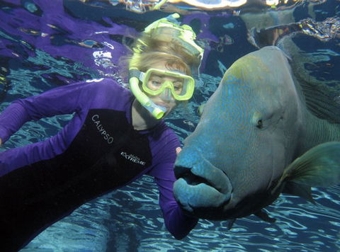 Calypso Reef Charters - Holiday Jervis Bay 4