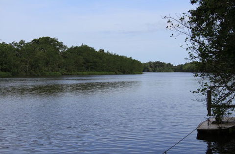 Daintree River Cruise Centre - Holiday Jervis Bay 2