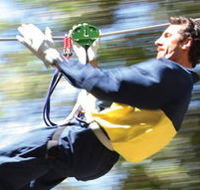 Adventure Parc - Holiday Jervis Bay