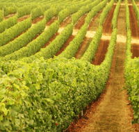 Wignalls Winery - Holiday Jervis Bay