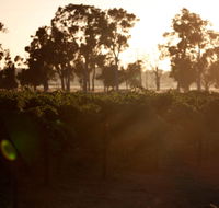 Evans  Tate - Holiday Jervis Bay