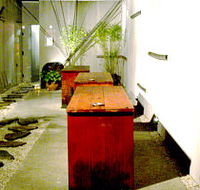 Koi - Holiday Jervis Bay