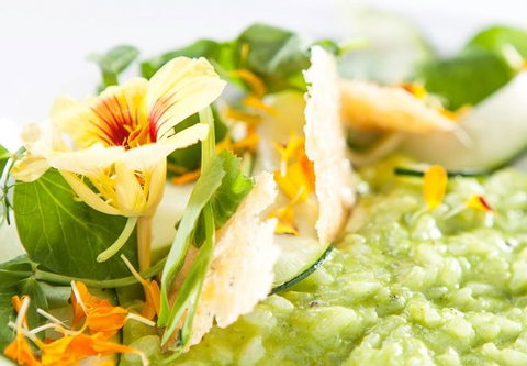 The Villager - Holiday Jervis Bay 2