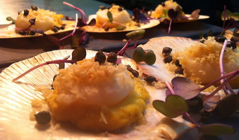 Shangri-La Gardens - Holiday Jervis Bay 1