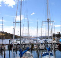 Oyster Cove Inn
