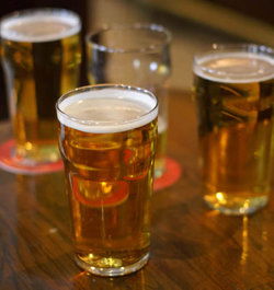 Captain Cook Hotel Botany - Holiday Jervis Bay 3