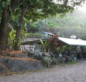Ellis Beach Bar  Grill - Holiday Jervis Bay