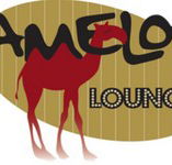 Camelot Lounge - Holiday Jervis Bay