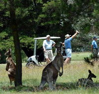 Glen Innes Golf Club - Holiday Jervis Bay
