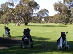 Minlaton Golf Club - Holiday Jervis Bay 3