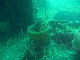 Wallaroo Scuba Club - Holiday Jervis Bay 0