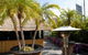 Palmz At The Carlton - thumb 0