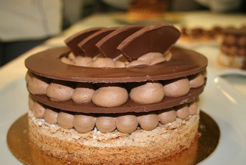 Jaune - Holiday Jervis Bay 1