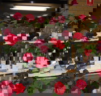 Anglican Spring Flower Show Gundagai - Holiday Jervis Bay