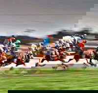 Grafton July Racing Carnival - Holiday Jervis Bay