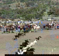 Gresford Agricultural Show - Holiday Jervis Bay