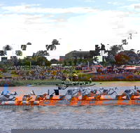 Jacaranda Dragon Boat Races - Holiday Jervis Bay