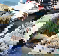 Kiewa Street Market - Holiday Jervis Bay