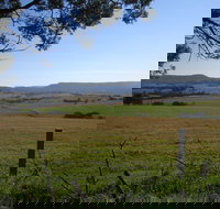 Milton Village Showground Markets - Holiday Jervis Bay