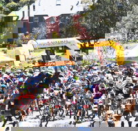 Snowies MTB Festival - Holiday Jervis Bay