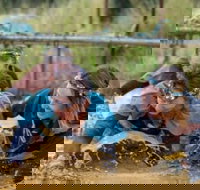 Suck It Up Buttercup Vikings Obstacle Course - Holiday Jervis Bay