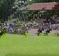 Tumut Derby Day - Holiday Jervis Bay