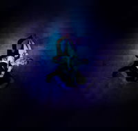 Wallflowering - Holiday Jervis Bay