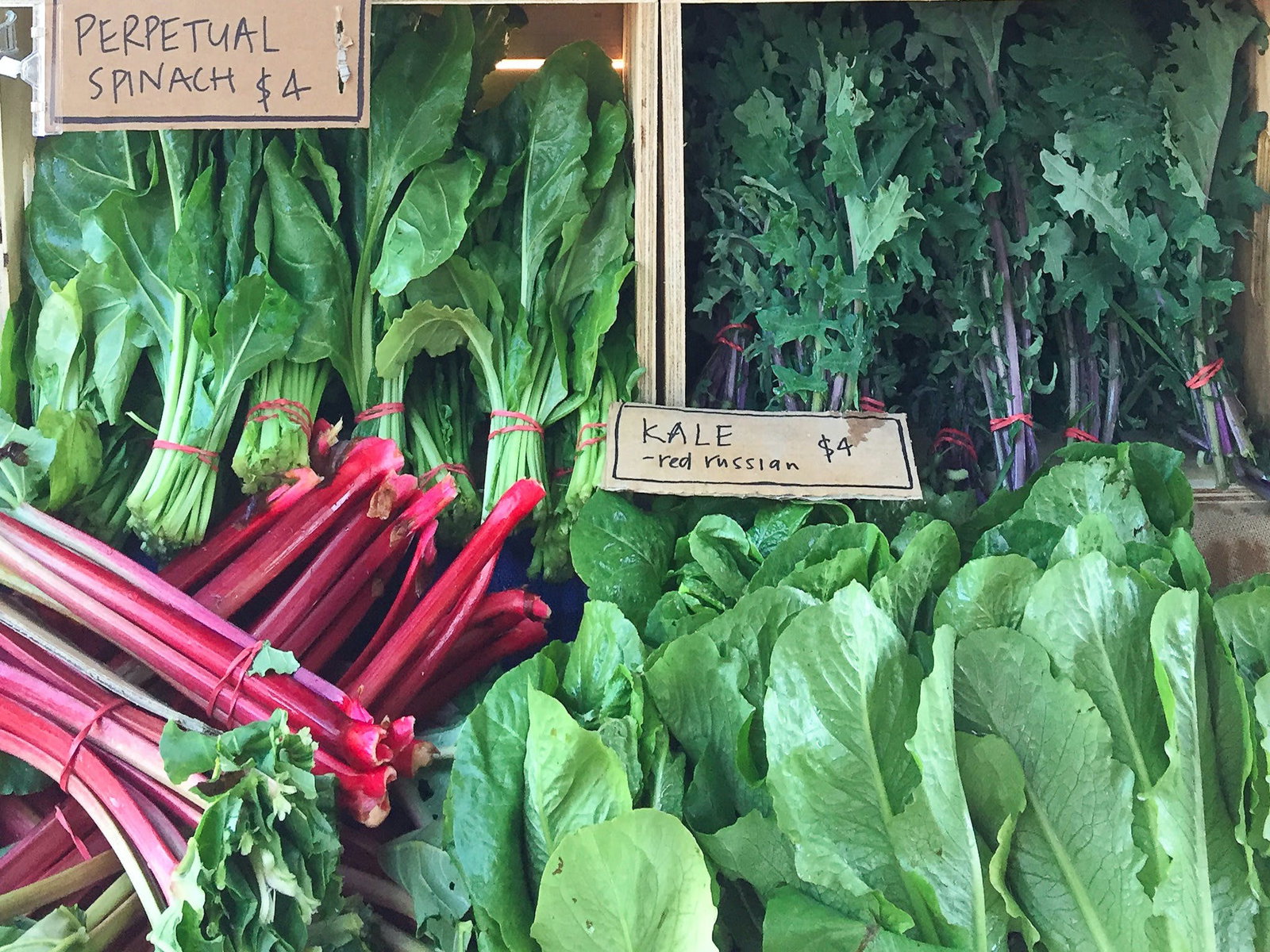 Allans Flat VIC Holiday Jervis Bay