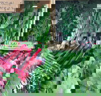 Albury Wodonga Farmers Market - Holiday Jervis Bay