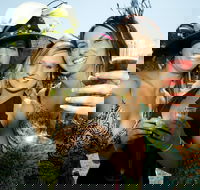 Albury Racing Club January Race Day - Holiday Jervis Bay