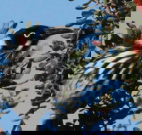 Esperance Wildflower Festival - Holiday Jervis Bay